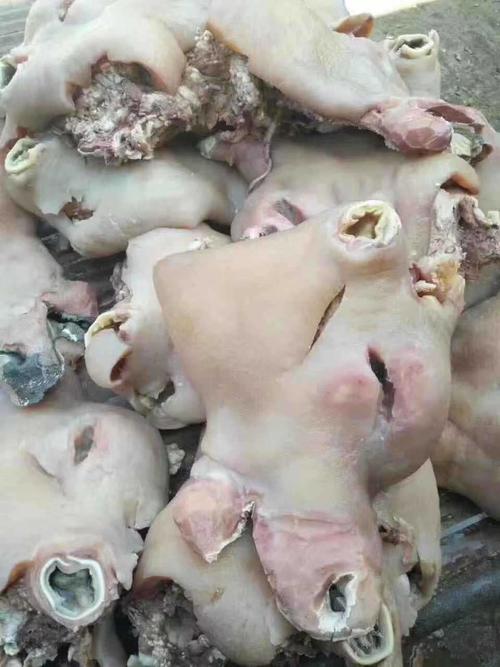 东莞市爽脆佳食品